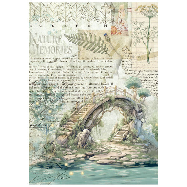 Stamperia HERBARIUM SILVAE MINI A6 Assorted Decoupage Rice Paper 8 sheets #DFSA6X02