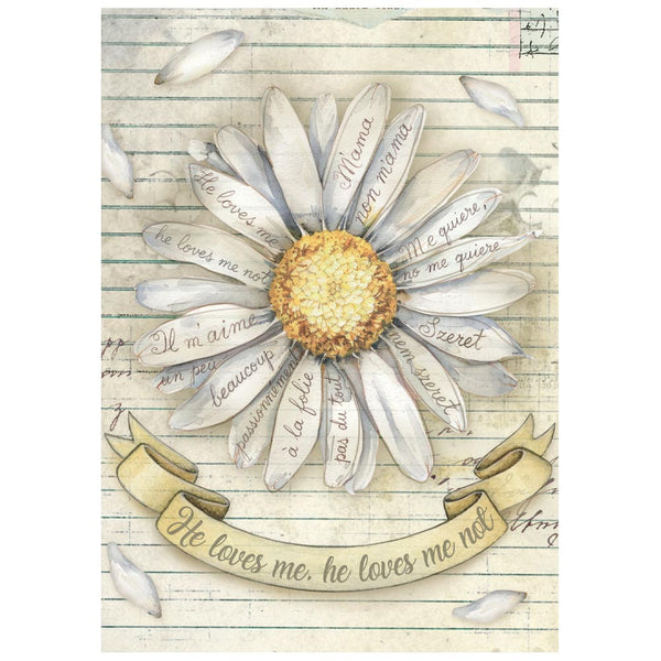 Stamperia DAISY ART MINI A6 Assorted Decoupage Rice Paper 8 sheets #DFSA6X04