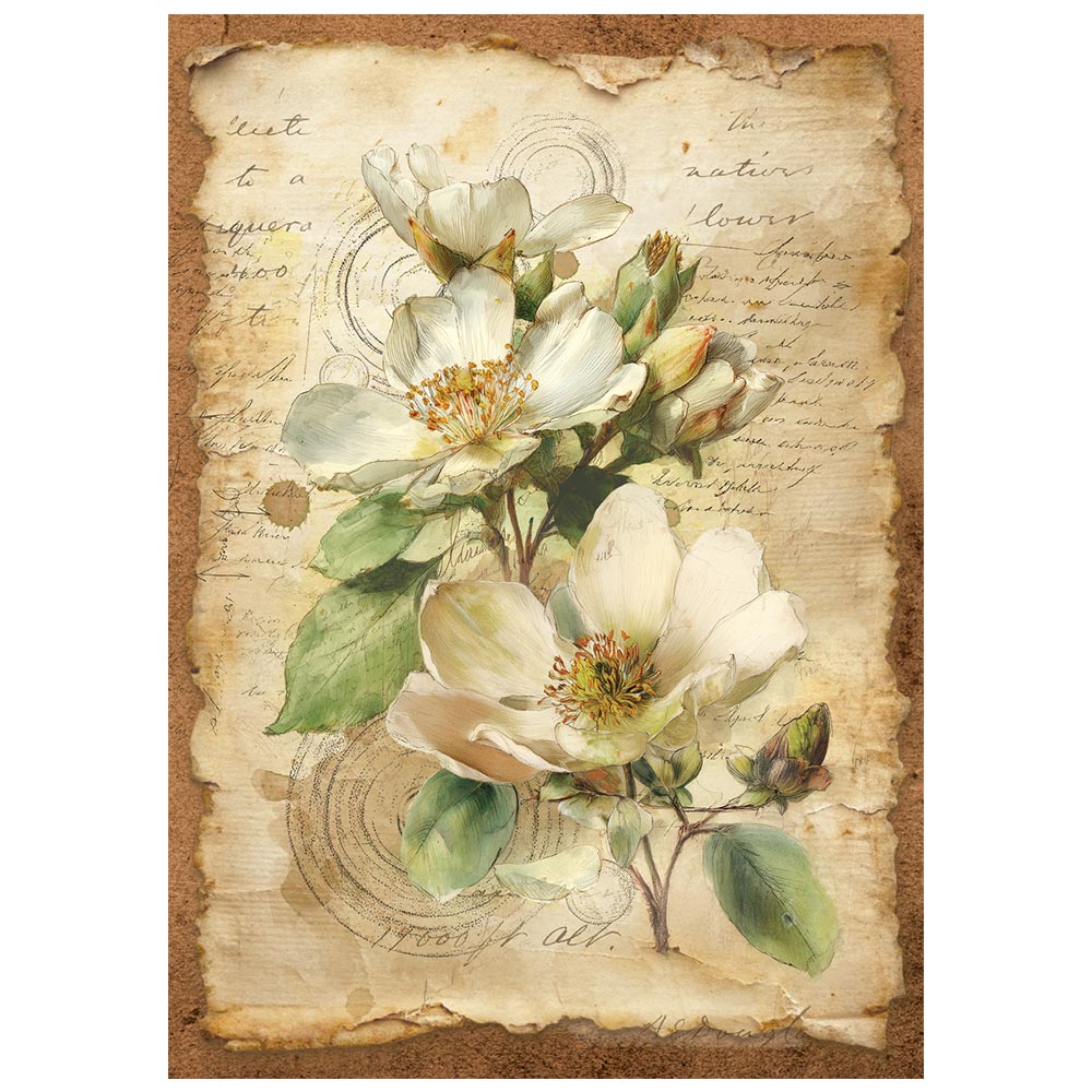 Stamperia ALL AROUND - A6 Selection Decoupage Rice Paper 8 sheets #DFSA6X06