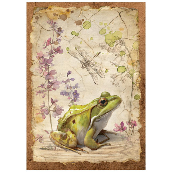 Stamperia ALL AROUND - A6 Selection Decoupage Rice Paper 8 sheets #DFSA6X06