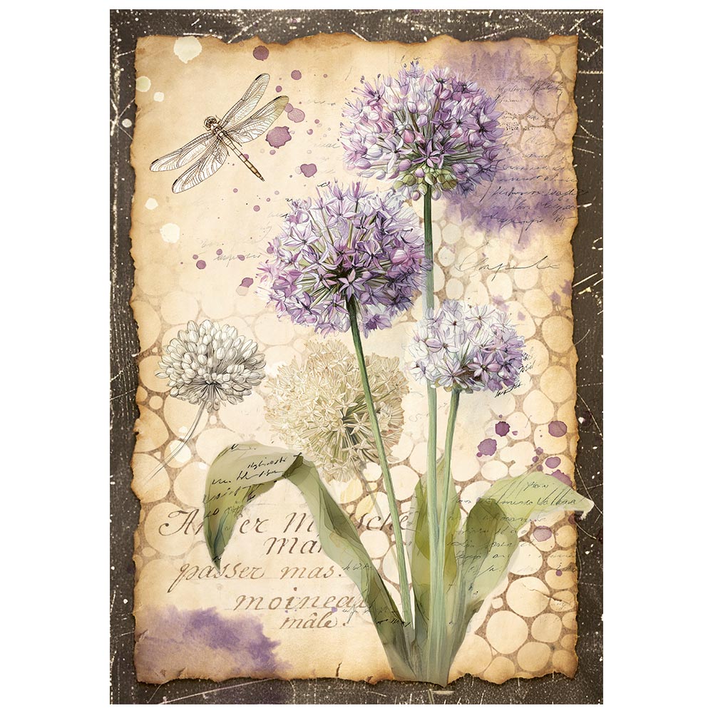 Stamperia ALL AROUND - A6 Selection Decoupage Rice Paper 8 sheets #DFSA6X06
