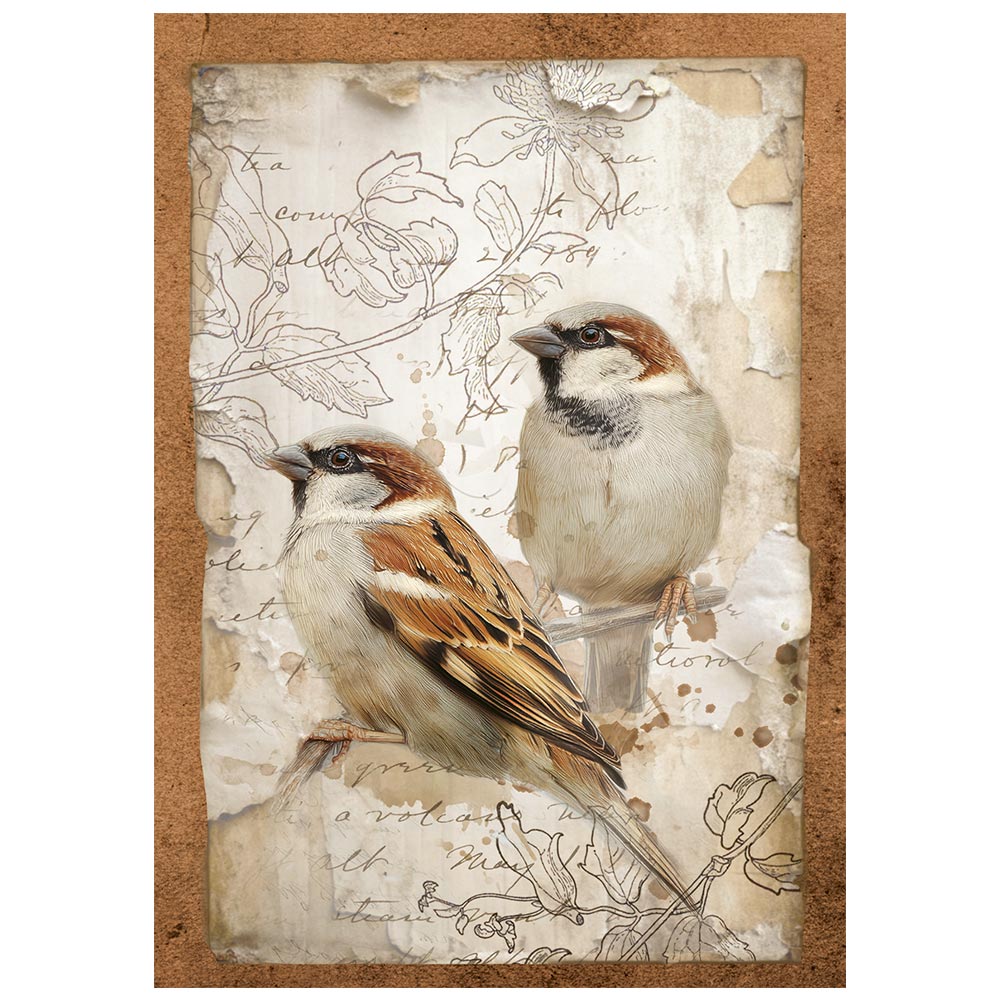 Stamperia ALL AROUND - A6 Selection Decoupage Rice Paper 8 sheets #DFSA6X06