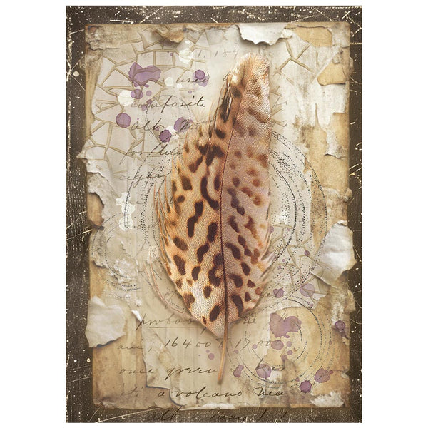 Stamperia ALL AROUND - A6 Selection Decoupage Rice Paper 8 sheets #DFSA6X06