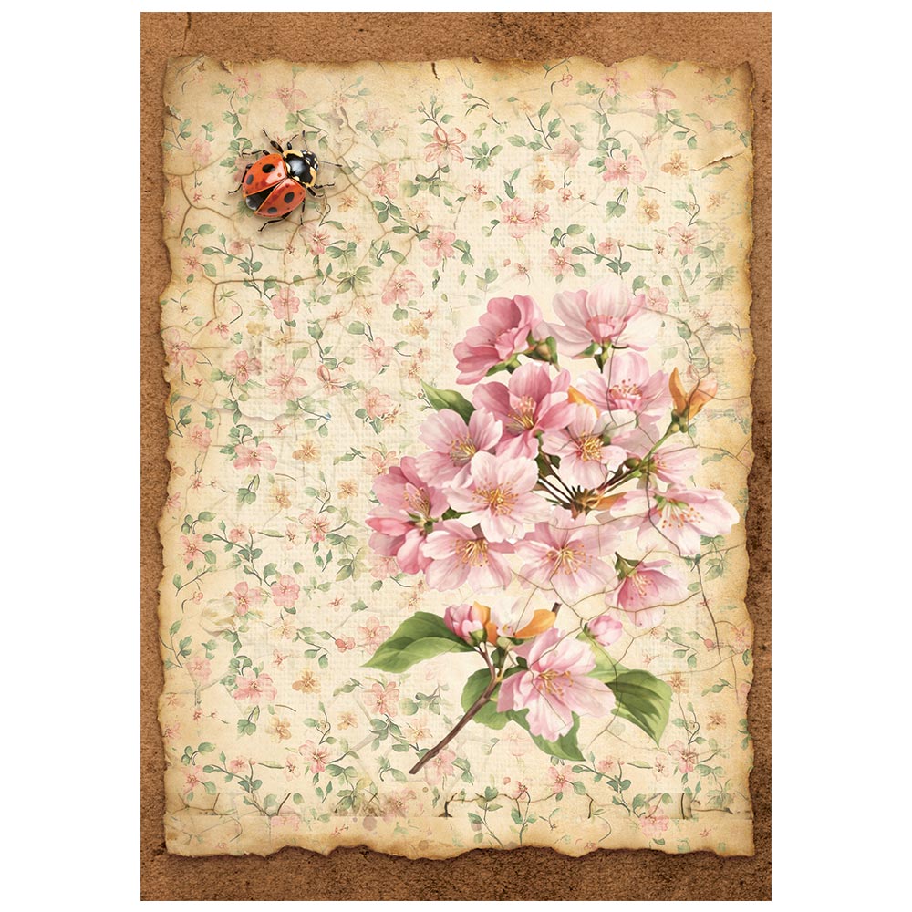 Stamperia ALL AROUND - A6 Selection Decoupage Rice Paper 8 sheets #DFSA6X06
