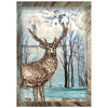 Stamperia COSMOS - MINI A6 Assorted Decoupage Rice Paper 8 sheets #DFSA6X11 - NEW