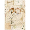 Stamperia FLOWERS and POEMS MINI A6 Assorted Decoupage Rice Paper 8 sheets #DFSA6X13