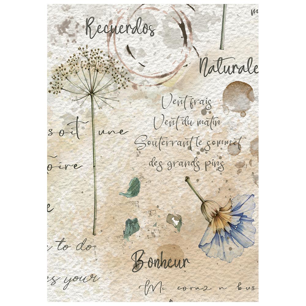 Stamperia FLOWERS and POEMS MINI A6 Assorted Decoupage Rice Paper 8 sheets #DFSA6X13