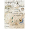 Stamperia FLOWERS and POEMS MINI A6 Assorted Decoupage Rice Paper 8 sheets #DFSA6X13