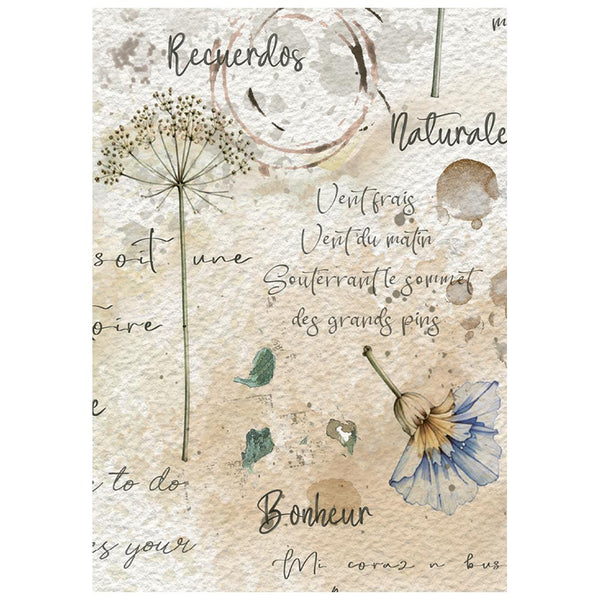 Stamperia FLOWERS and POEMS MINI A6 Assorted Decoupage Rice Paper 8 sheets #DFSA6X13