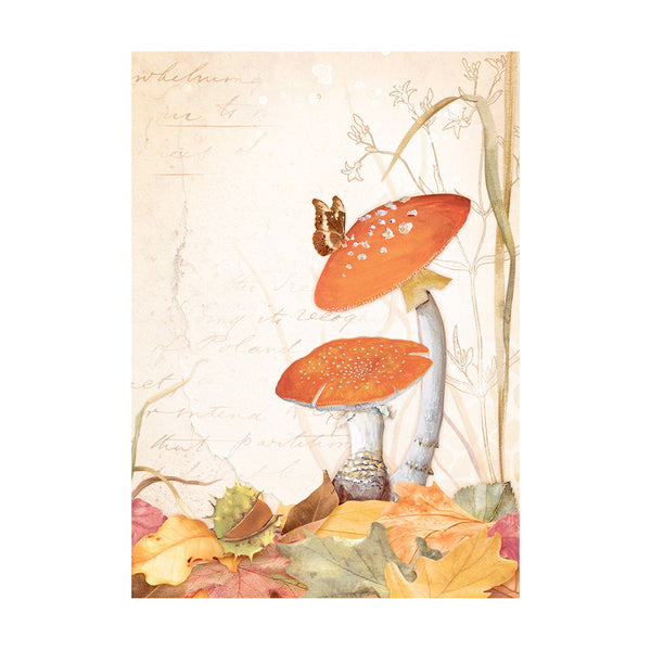 Stamperia WOODLAND Backgrounds A6 Assorted Rice Paper SELECTION Decoupage 8 sheets #DFSAK6011