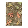 Stamperia FOREST A6 Assorted Rice Paper SELECTION Decoupage 8 sheets #DFSAK6030