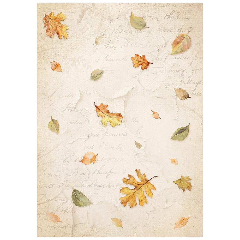 Stamperia WHISPERING WOODS A6 Background Assorted Decoupage Rice Paper 8 sheets #DFSAK6045