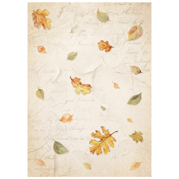 Stamperia WHISPERING WOODS A6 Background Assorted Decoupage Rice Paper 8 sheets #DFSAK6045