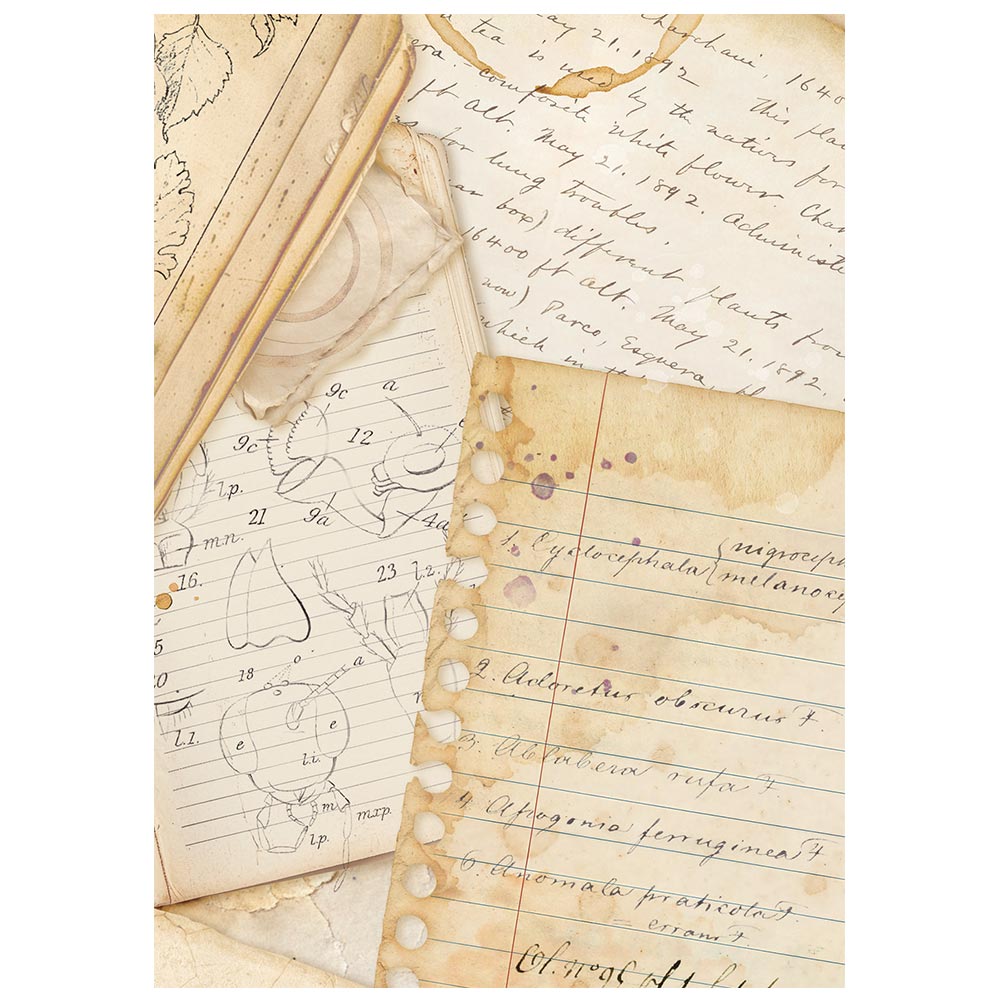 Stamperia ALL AROUND Backgrounds A6 Selection Decoupage Rice Paper 8 sheets #DFSAK6054