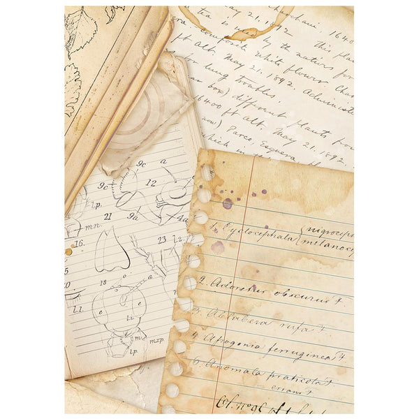 Stamperia ALL AROUND Backgrounds A6 Selection Decoupage Rice Paper 8 sheets #DFSAK6054