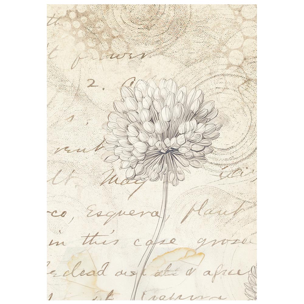 Stamperia ALL AROUND Backgrounds A6 Selection Decoupage Rice Paper 8 sheets #DFSAK6054