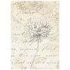 Stamperia ALL AROUND Backgrounds A6 Selection Decoupage Rice Paper 8 sheets #DFSAK6054