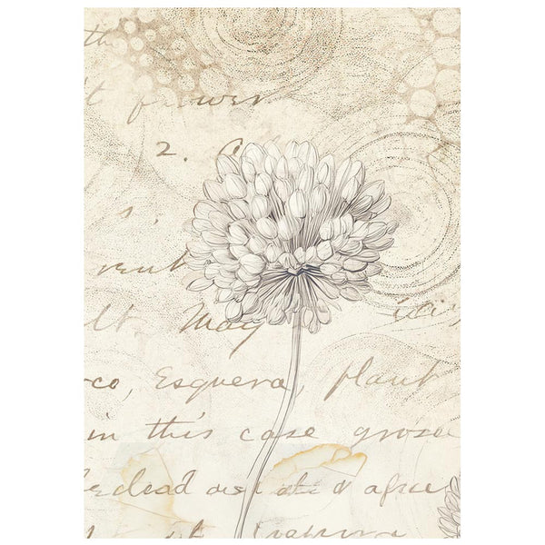 Stamperia ALL AROUND Backgrounds A6 Selection Decoupage Rice Paper 8 sheets #DFSAK6054