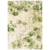 Stamperia ALL AROUND Backgrounds A6 Selection Decoupage Rice Paper 8 sheets #DFSAK6054