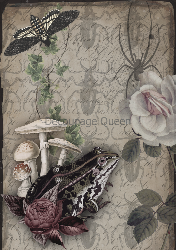 Decoupage Queen Dainty and the Queen DIARY ENTRIES A4 Rice Paper DQRP0610