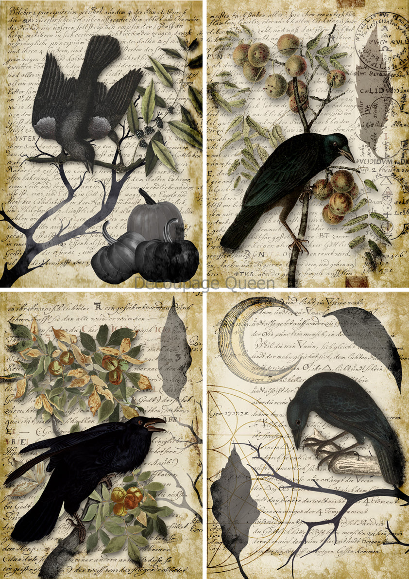 Decoupage Queen RAVEN GRIMOIRE 4 PACK A4 Rice Paper DQRP0627