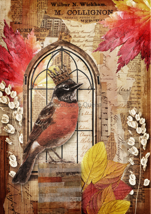 Decoupage Queen CROWNED ROBIN A4 Rice Paper DQRP0629