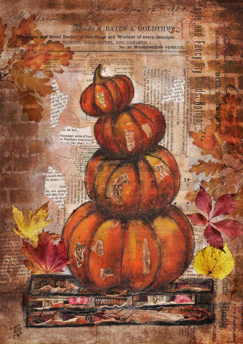 Decoupage Queen GRUNGE PUMPKINS A4 Rice Paper DQRP0630