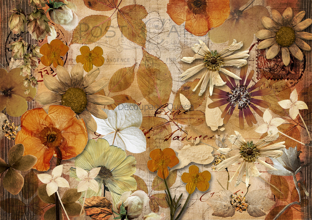 Decoupage Queen PRESSED AUTUMN FLOWERS A4 Rice Paper DQRP0636