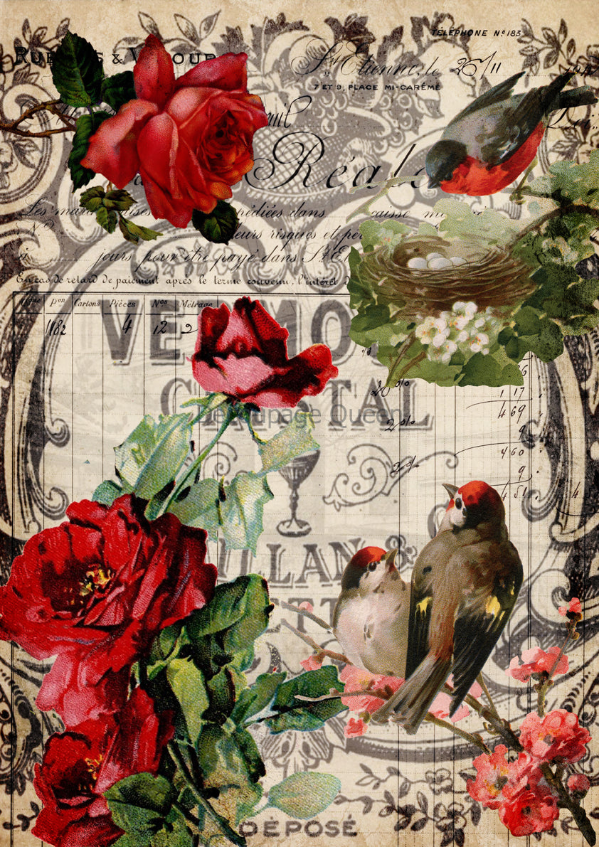 Decoupage Queen RED ROSES and BIRDS A4 Rice Paper DQRP0651