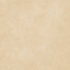 Pre-Order - 49 and Market SEASON'S BOUNTY 12x12 Solid Cardstock Pack #DSB-38514