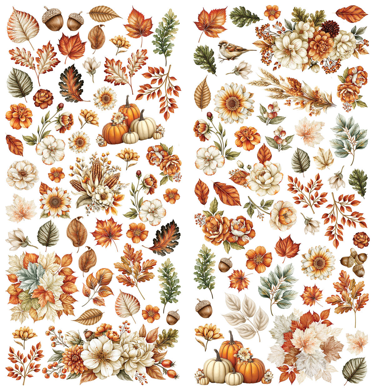 Pre-Order - 49 and Market SEASON'S BOUNTY - Laser-Cut WILDFLOWERS Set #DSB-38682