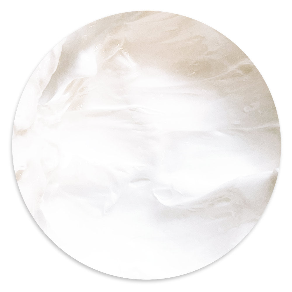 Stamperia Mix Media Art ANTIQUE RELIEF POWDER and BONDING GEL Matte and Clear