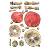 Stamperia WHISPERING WOODS - 3D MUSHROOMS A5 Silicone Mixed Media Moulds Resin #KACMA588