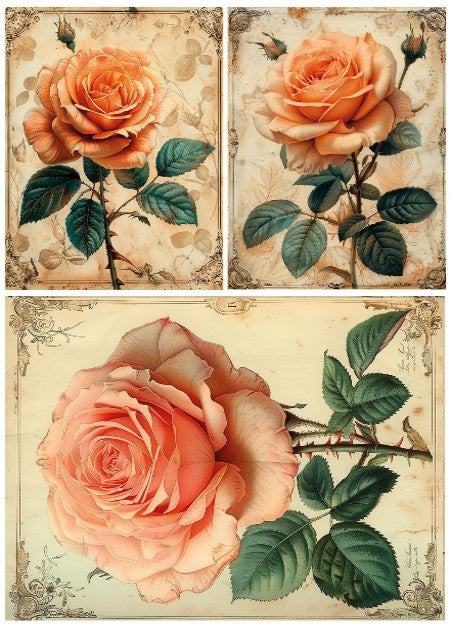 LaBlanche Three Pack LARGE ROSE A4 Decoupage Rice Paper #LBD360