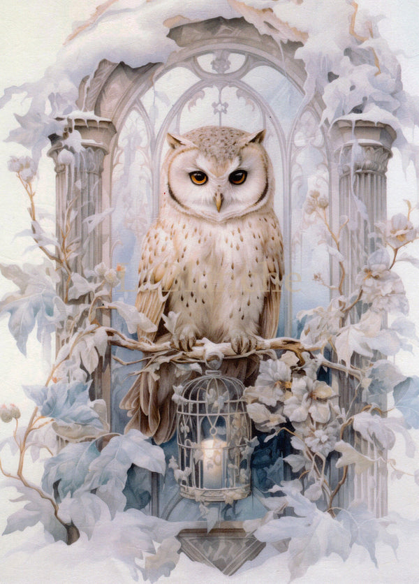 LaBlanche FROSTY WINTER 2 Snowy Owl A4 Decoupage Rice Paper #LBD376