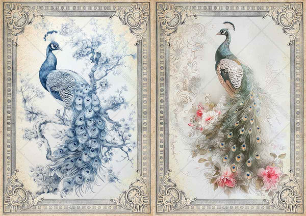 Paper Designs VINTAGE BIRDS Collection A4 Rice Paper for Decoupage 10 Sheets #RPC_001