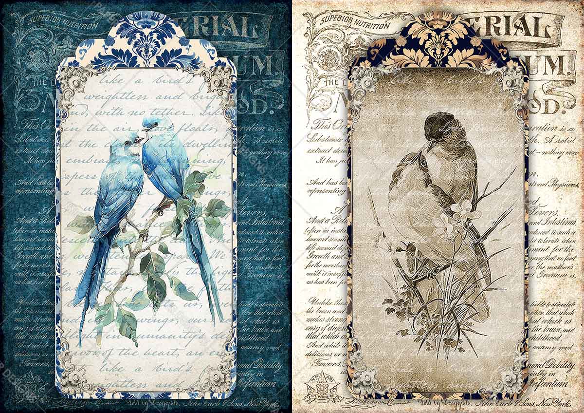 Paper Designs VINTAGE BIRDS Collection A4 Rice Paper for Decoupage 10 Sheets #RPC_001