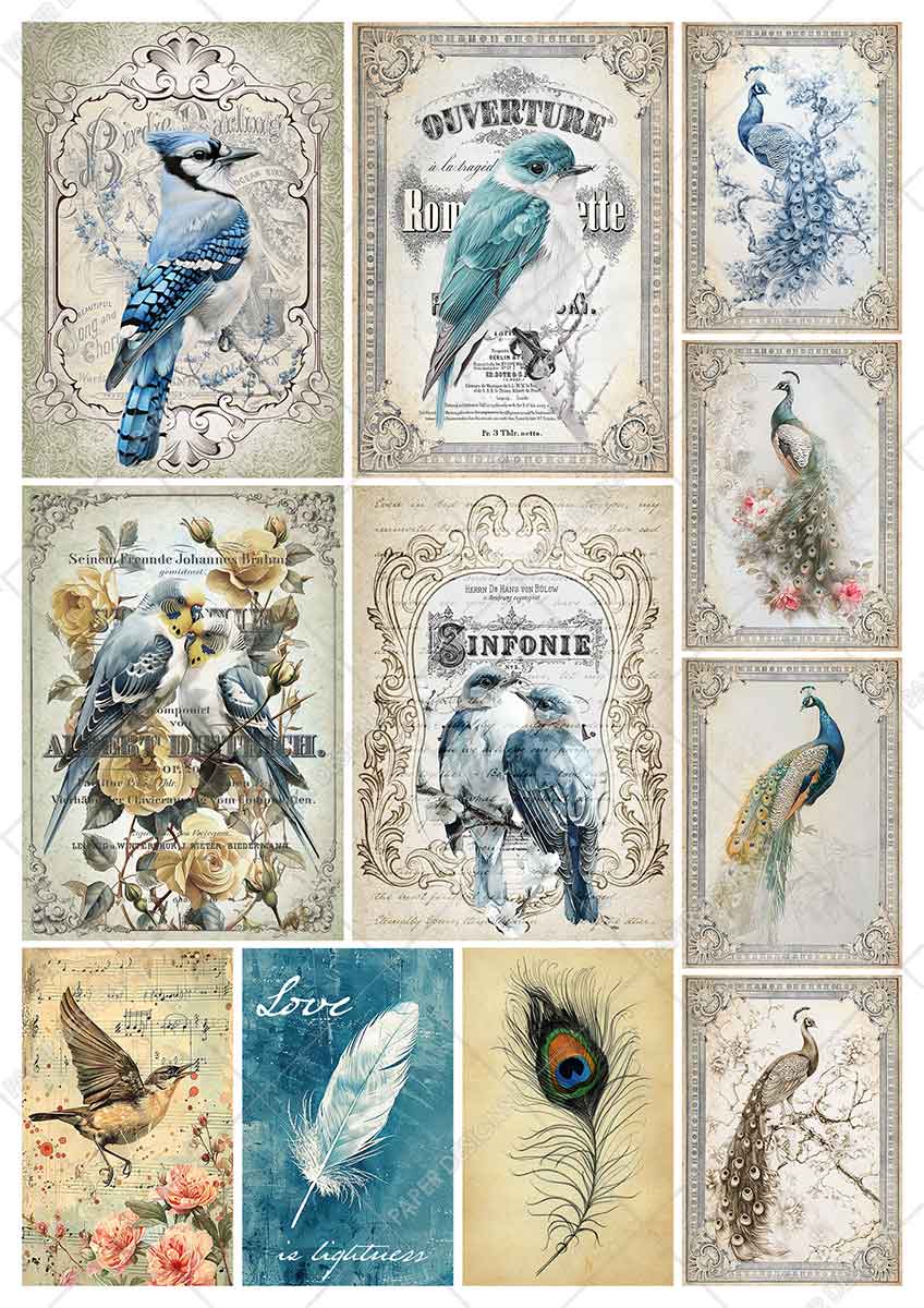 Paper Designs VINTAGE BIRDS Collection A4 Rice Paper for Decoupage 10 Sheets #RPC_001