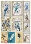 Paper Designs VINTAGE BIRDS Collection A4 Rice Paper for Decoupage 10 Sheets #RPC_001