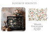 ReDesign with Prima Decor Transfer BLUSH HARMONY 24"x35" #682637