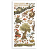 PRE-ORDER Stamperia HIDDEN GROVE Paper Cut Outs Double Face 4 sheets #SBBCT10