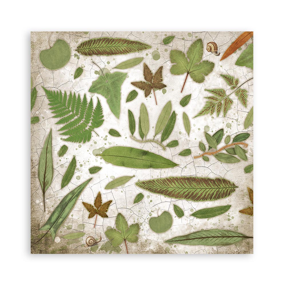 Stamperia GARDEN HOUSE 12x12 Double Faced Paper 10 Sheets + Bonus #SBBL102