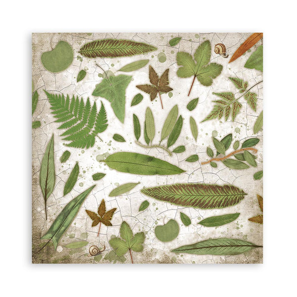 Stamperia GARDEN HOUSE 12x12 Double Faced Paper 10 Sheets + Bonus #SBBL102