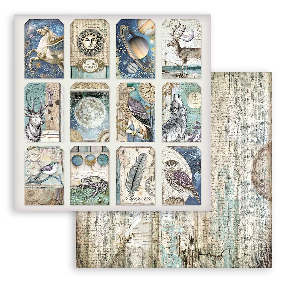 Stamperia COSMOS INFINITY 12X12 Double Faced Paper 10 Sheets + Bonus #SBBL118