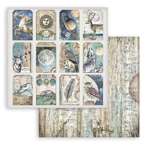 Stamperia COSMOS INFINITY 12X12 Double Faced Paper 10 Sheets + Bonus #SBBL118