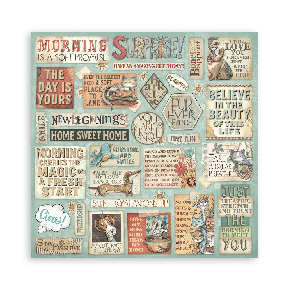 Collage of various phrases and illustrations on a teal background