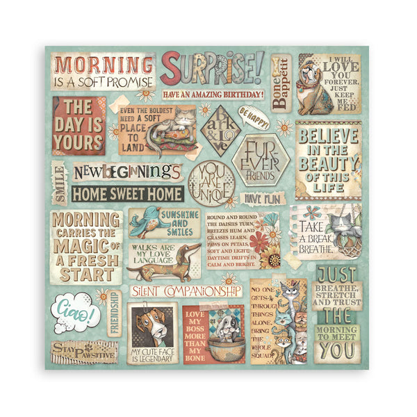 Collage of various phrases and illustrations on a teal background
