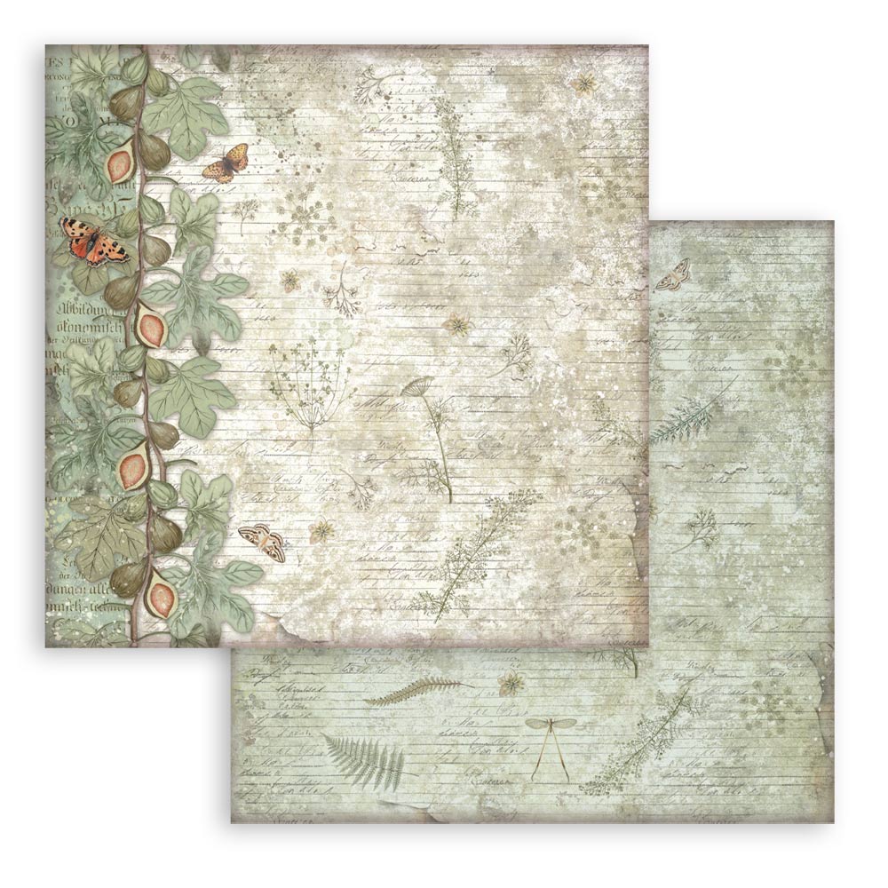 Stamperia HERBARIUM SILVAE Background Selection 12x12 Double Faced Scrapbook Paper 10 PCS+Bonus #SBBL180