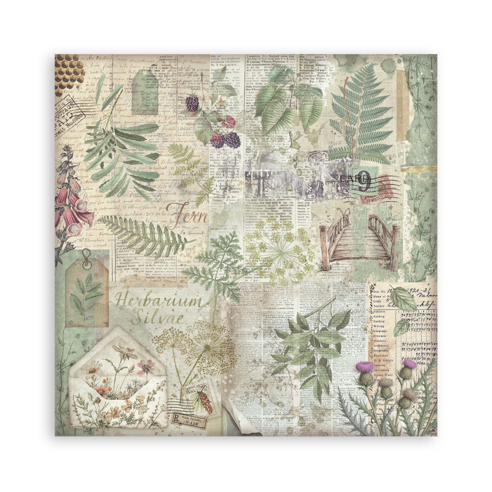 Stamperia HERBARIUM SILVAE Background Selection 12x12 Double Faced Scrapbook Paper 10 PCS+Bonus #SBBL180
