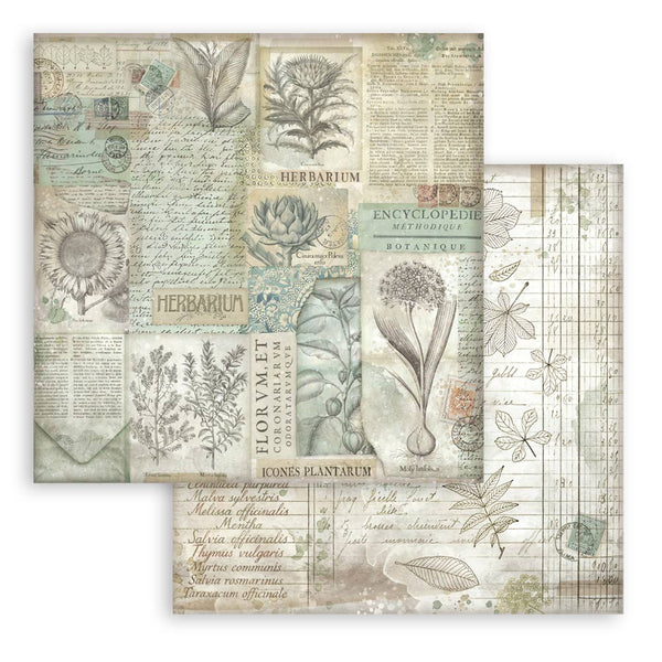 Stamperia HERBARIUM SILVAE Background Selection 12x12 Double Faced Scrapbook Paper 10 PCS+Bonus #SBBL180